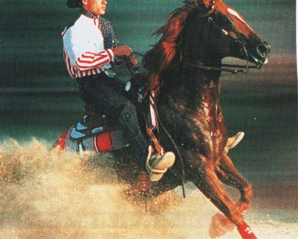 horse Topsail Chex (Quarter Horse, 1990, from Topsail Cody)