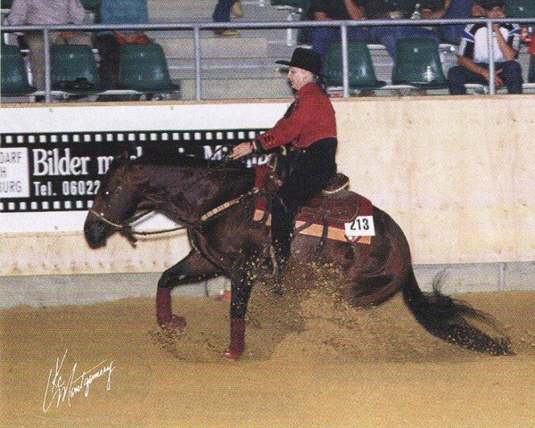 horse Crown Royal Rey (Quarter Horse, 1993, from Crown Royal King)