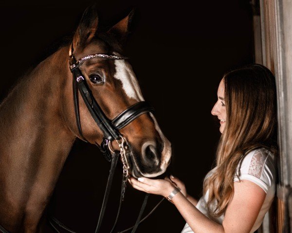 broodmare Tennessee (German Riding Pony, 2008, from Timberland)