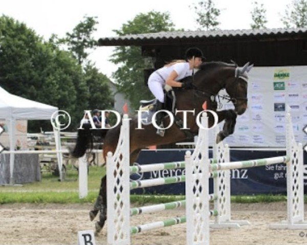 jumper Lenny 61 (Hanoverian, 2004, from Landclassic)