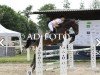 jumper Lenny 61 (Hanoverian, 2004, from Landclassic)