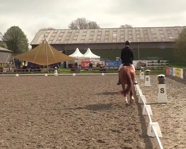 Reitturnier Kleinsolter Turniertage 2025
