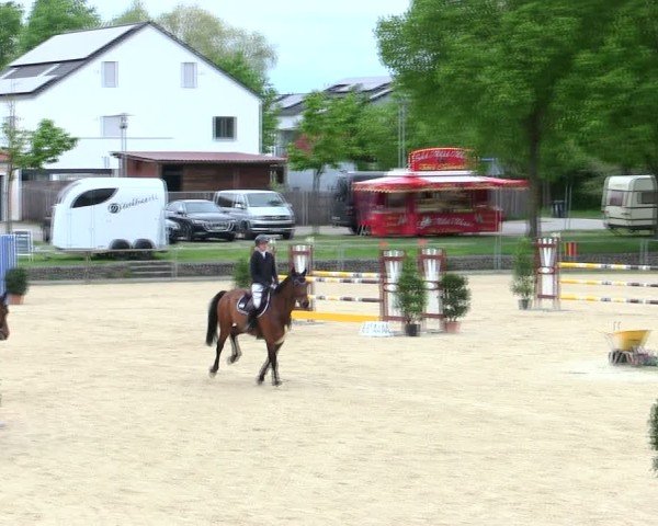 Reitturnier Ingolstadt-Hagau/Obb. 2025