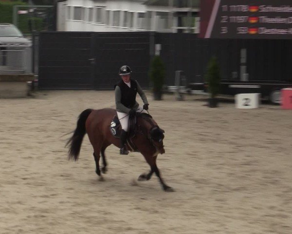 Reitturnier Aachen 2025
