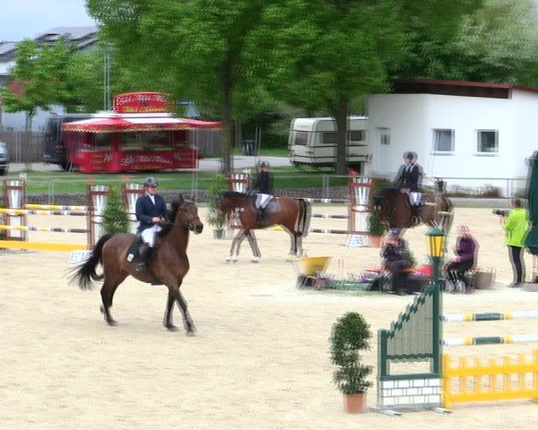 Reitturnier Ingolstadt-Hagau/Obb. 2025