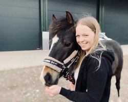 jumper Milky Chance NE (German Riding Pony, 2020, from Million Reasons)