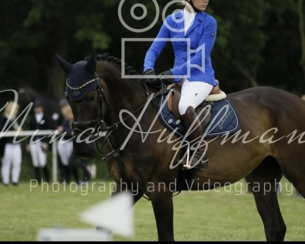 jumper Cornet's Cartoon (Oldenburg show jumper, 2016, from Cornet du Lys)