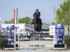 stallion Orak d'Hamwyck (Belgian Warmblood, 2014, from Tobago Z)