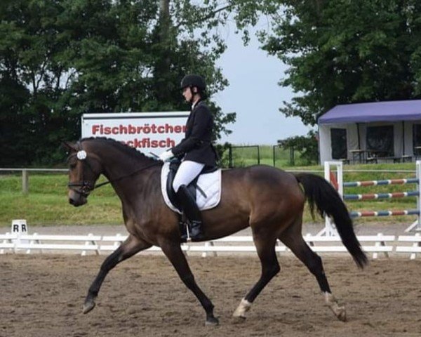 broodmare Giselle 106 (German Sport Horse, 2012, from Ciaco's Son S)