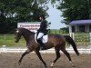 broodmare Giselle 106 (German Sport Horse, 2012, from Ciaco's Son S)