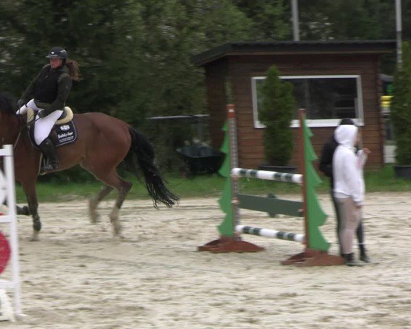 Reitturnier Bad Liebenstein 2025