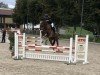 jumper Candero (German Sport Horse, 2016, from Cullinan du Borget B)