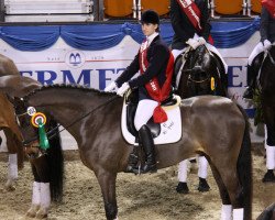 dressage horse McFly (Westphalian, 1997, from Montmartre)