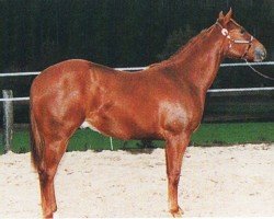 horse Mr Joe Glo Lena (Quarter Horse, 1994, from Listo Lena)