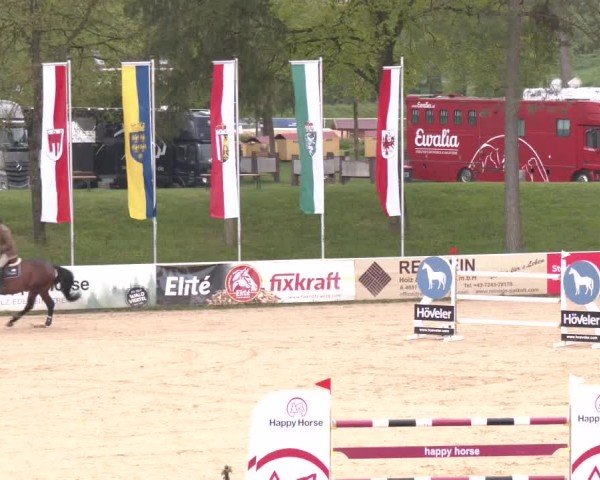 Internationales Springturnier Stadl-Paura 2025