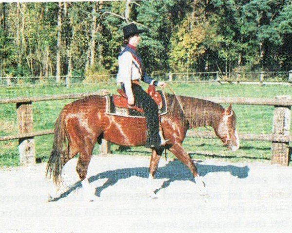 Pferd Ina Pinch Of Time (Quarter Horse, 1993, von Scotch Bar Time)
