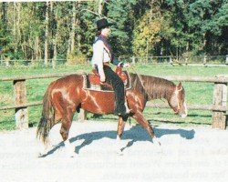 horse Ina Pinch Of Time (Quarter Horse, 1993, from Scotch Bar Time)
