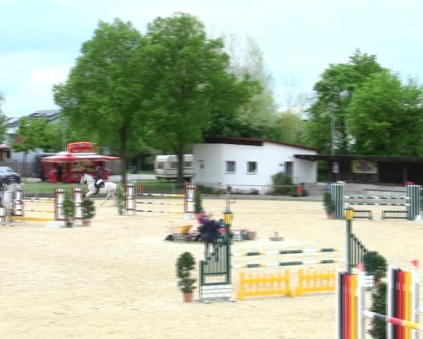 Reitturnier Ingolstadt-Hagau/Obb. 2025
