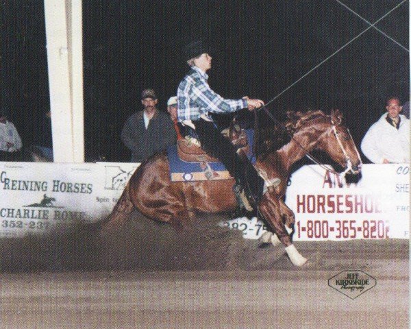 Pferd Absolute Duke (Quarter Horse, 1994, von Peppy Badger Chex)
