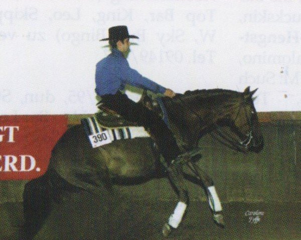 horse Jacs Barbara Star (Quarter Horse, 1992, from Hollywood Jac 86)