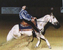 horse Hesa Jessie James (Quarter Horse, 1995, from Tivio Jessie James)