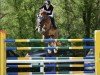 jumper Bijoux Beau (Sella Italiano, 2012, from Action-Breaker)