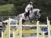 jumper Quaid Coeur (Hanoverian, 2014, from FRH Quaid)