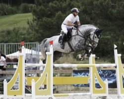 jumper Quaid Coeur (Hanoverian, 2014, from FRH Quaid)
