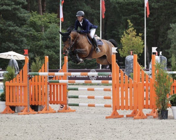 jumper Ibiza D'Anchat (Selle Français, 2018, from Balou Star)