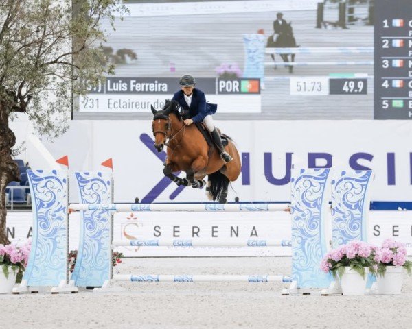 Springpferd Eclaireur de Briere (Selle Français, 2014, von Tsunami de Hus)