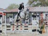 jumper Cockney Jk (Hanoverian, 2018, from Cassus 2)