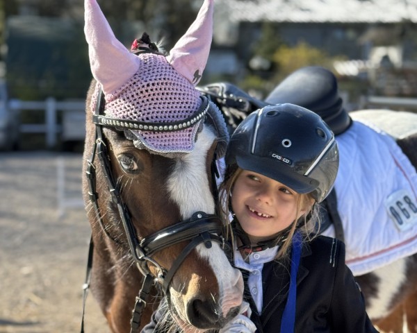jumper Louis 376 (Pony without race description, 2018)