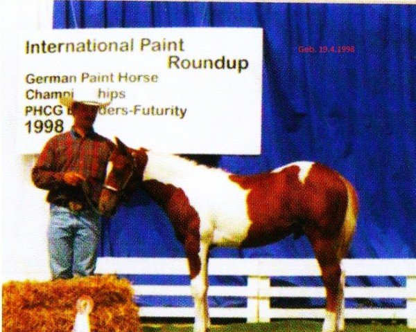 Deckhengst Tejano Pepp Olena (Paint Horse,  , von Little Peppy OLena)
