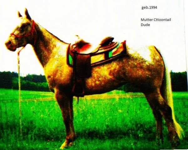 broodmare FG Goers Princess (Appaloosa,  , from Featuring Goer)