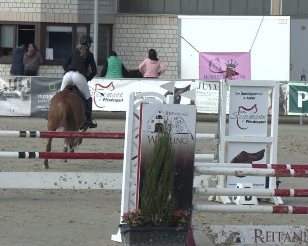 Reitturnier Olfen 2025