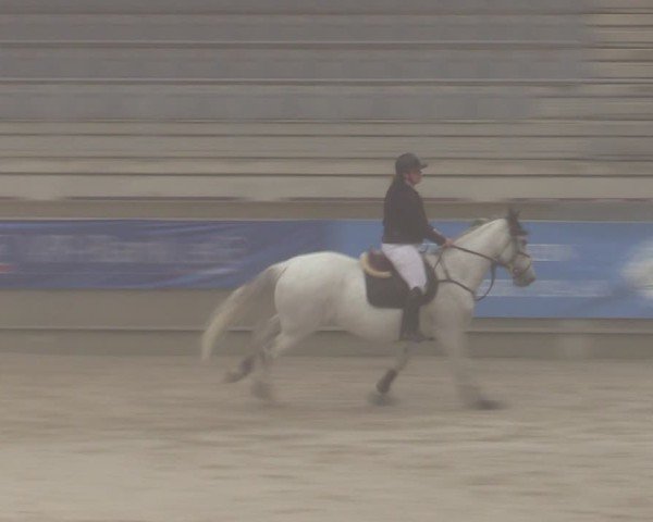 Reitturnier Aachen 2025