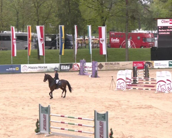 Internationales Springturnier Stadl-Paura 2025