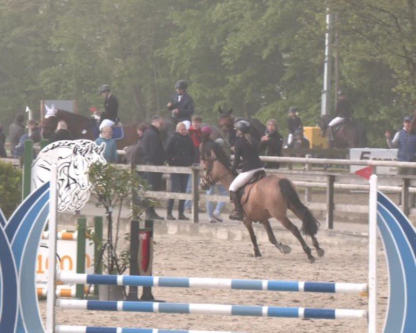 Reitturnier Nienberge 2025