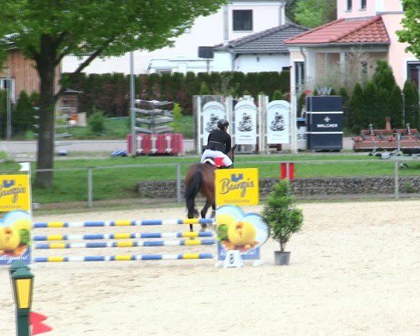Reitturnier Ingolstadt-Hagau/Obb. 2025