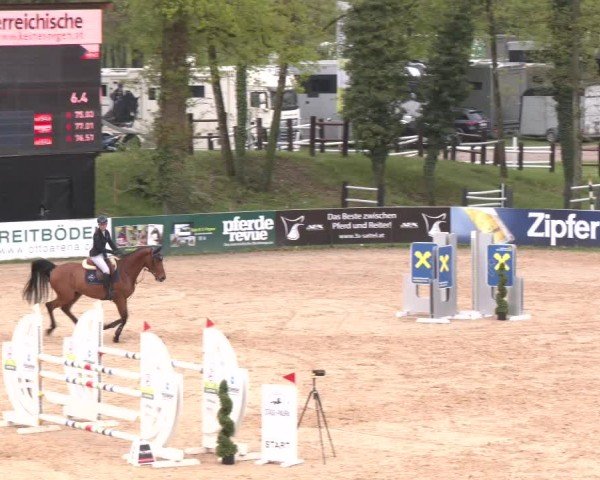 Internationales Springturnier Stadl-Paura 2025