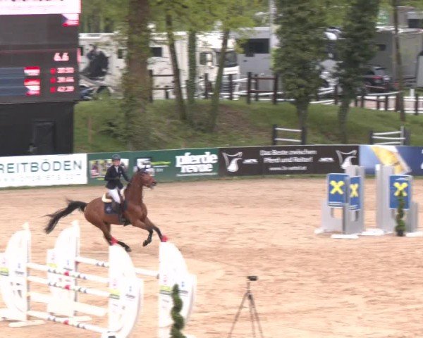 Internationales Springturnier Stadl-Paura 2025