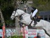 jumper Nacho Blue (KWPN (Royal Dutch Sporthorse), 2018, from Chacoon Blue)