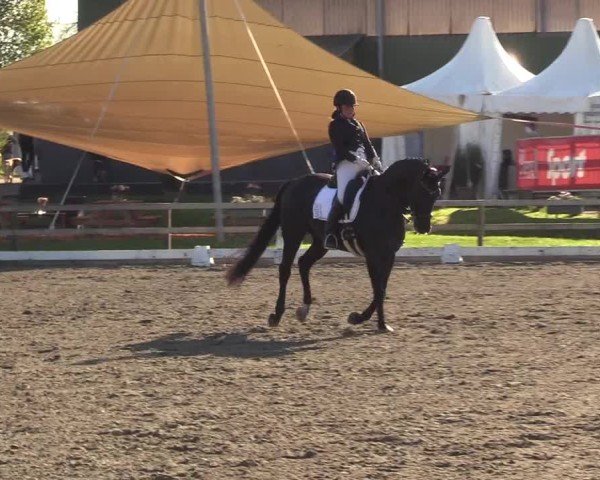 Reitturnier Kleinsolter Turniertage 2025