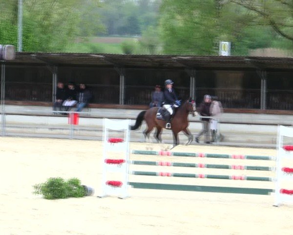Reitturnier Ingolstadt-Hagau/Obb. 2025
