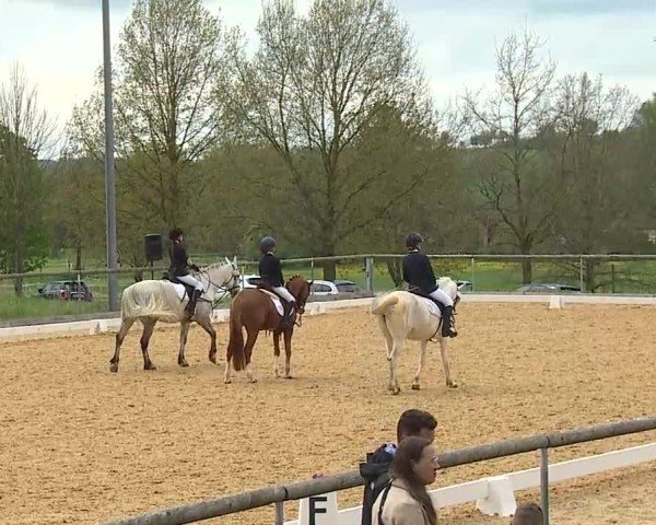 Reitturnier Altentrüdingen 2025