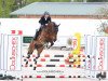 jumper Conthargos Best Kept Secret (Oldenburg show jumper, 2016, from Conthargos)