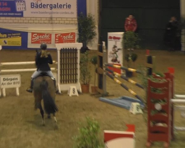 Spring-Pferde-Festival Lathen 2014
