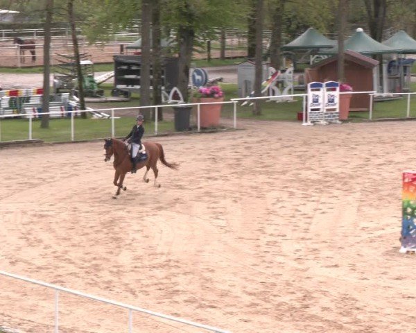 Internationales Springturnier Stadl-Paura 2025