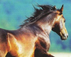 horse Dun It With A Grin (Quarter Horse, 1991, from Hollywood Dun It)