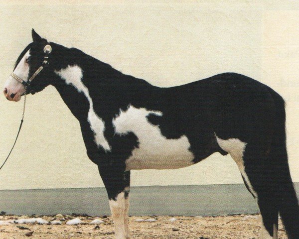 horse Yogibear HH (Paint Horse, 1993, from Yo Yos Clown)